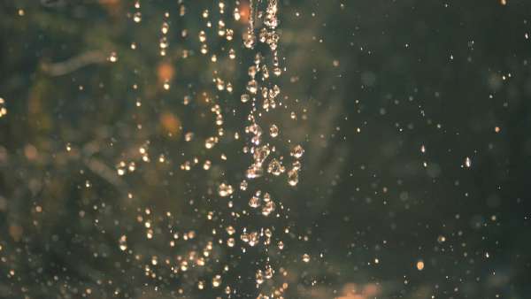 header thumbnail
