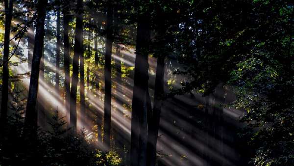 header thumbnail