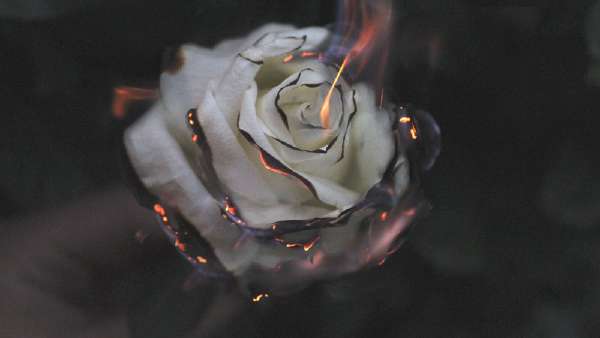 header thumbnail