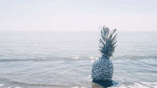 header thumbnail