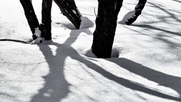 header thumbnail